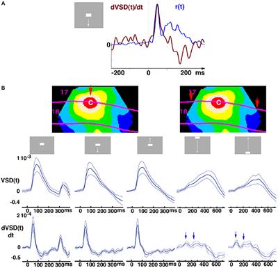 Breaking the Excitation-Inhibition Balance Makes the Cortical Network's Space-Time Dynamics Distinguish Simple Visual Scenes
